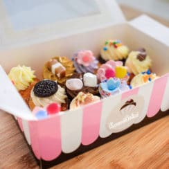 kawaii cupcake miniatures